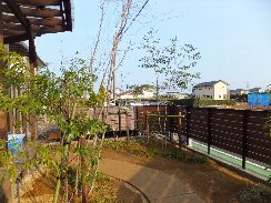 木漏れ日のテラスの庭