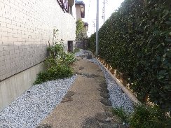 マンションの中の坪庭