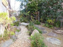 マンションの中の坪庭