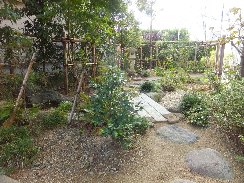 マンションの中の坪庭